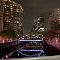 冷たい花 ( the brilliant green ) cover