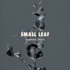 Hayden Calnin - Small Leaf (Animalic Drum Remix)