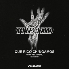 Que Rico Ch*ngamos - Rauw Alejandro(VilyDaKid Extended 23")