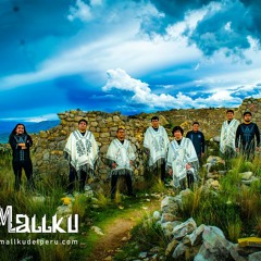 TEMO  -  MALLKU DEL PERU