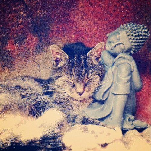 drainGngmixॐॐॐ vol.2