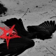 MOLLY IN MY COFFIN+ (ANY DAMN PILL)