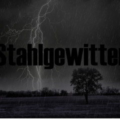 Stahlgewitter  (150BPM Hardtekk)