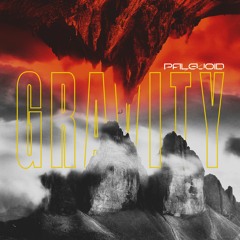 PaleVoid - Gravity