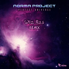 Norma Project - Perfect Universe (Wiz Ras Remix) (STRDW214 - Sting Records)