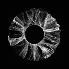 Vintage Culture, Bhaskar & Meca - Tina (DaxNote Remix)