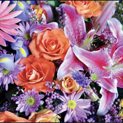 Flora and Fauna ft. Scr1b3 (prod. OkayCarson, Lovelife)