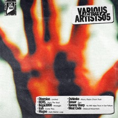 I.C. TRAX VARIOUS ARTISTS 05