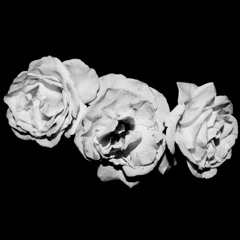 Westside Gunn - Best Dressed Demons Ft Machhommy (TD Remix)