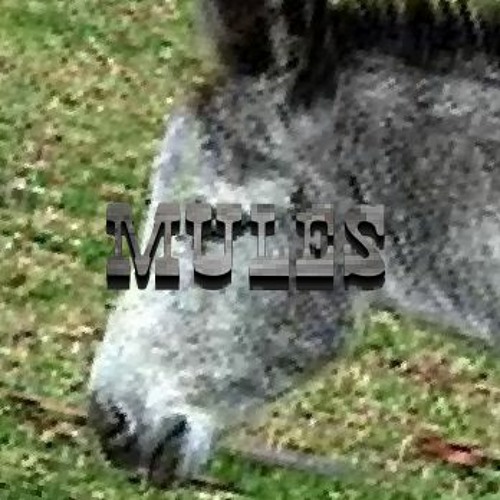 Mule Mate Calling
