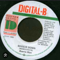 Boogie Down Riddim Mixed By