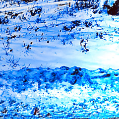 2019(omgapink)spxcce mtn prod. omri/?