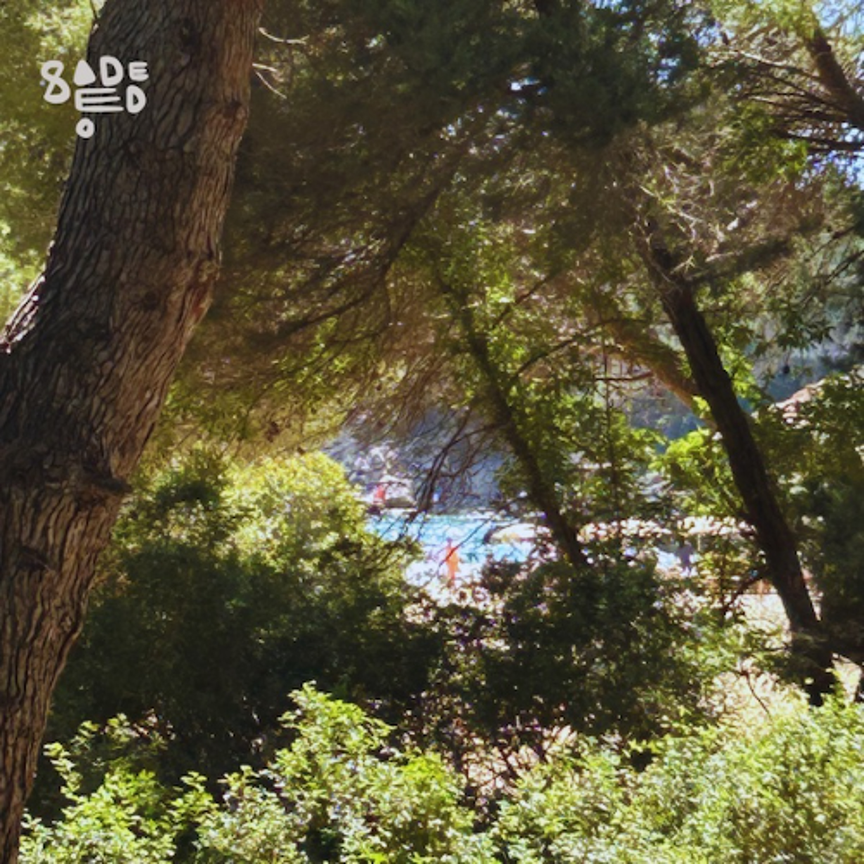 Open Sesame 075 – Sadeedo episode artwork