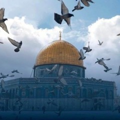 قبلة الجمال " هنا القدس " | أحمد النفيس