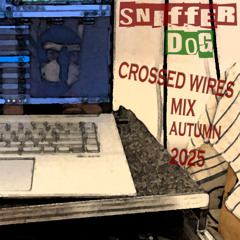 The Shizzle 16 April 2025 : Sniffer Dog