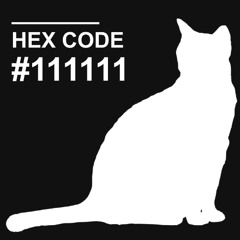 rolled the yarn across the floor