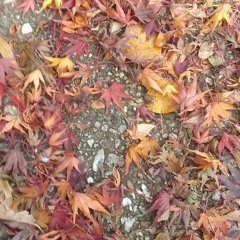 Sowing & Reaping | Sukkot & Simchat Torah 5782