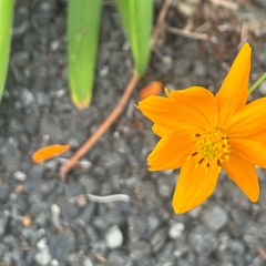 海と大地の悲鳴。
