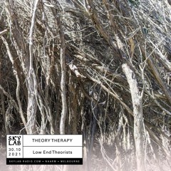 Skylab - Theory Therapy E12