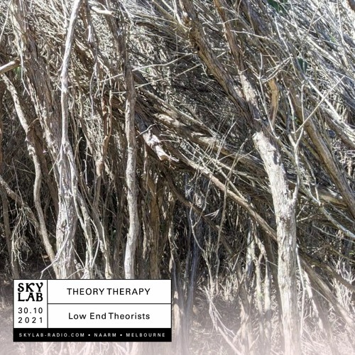 Skylab - Theory Therapy E12