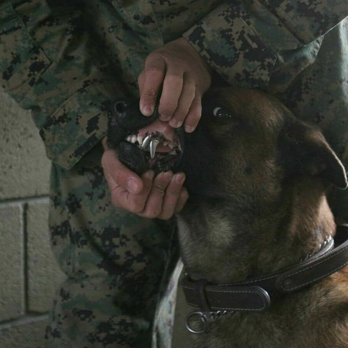heavily armed