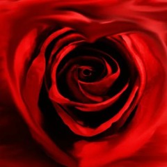 Миа Бойко Лучше плакать в порше чем смеяться в метро