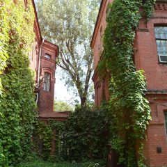 Центральні дворики в міському просторі Харкова