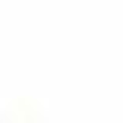 트위치 스트리머 에디션 러비 El Tango Egoista