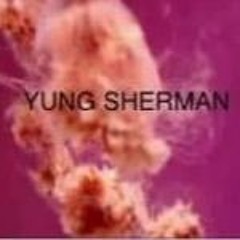 Yung Sherman - Live at SPF420 [2013]