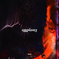 04 - eggplant3