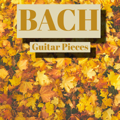 Partita for Solo Violin No. 3 in E Major, BWV 1006, Gavotte en Rondeau: Johann Sebastian Bach