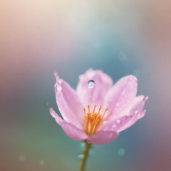 А.Варум и Л.Агутин – Все в твоих руках (jazz cover )