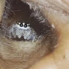 THE COMPOUND!! [[prod. by triplesixdelete]]