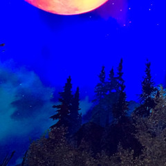 It’s a beautiful day to die.