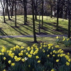 Spring's a Coming : ) Dave McDonald