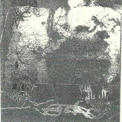 Pseudolaw