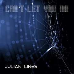 Can't Let You Go