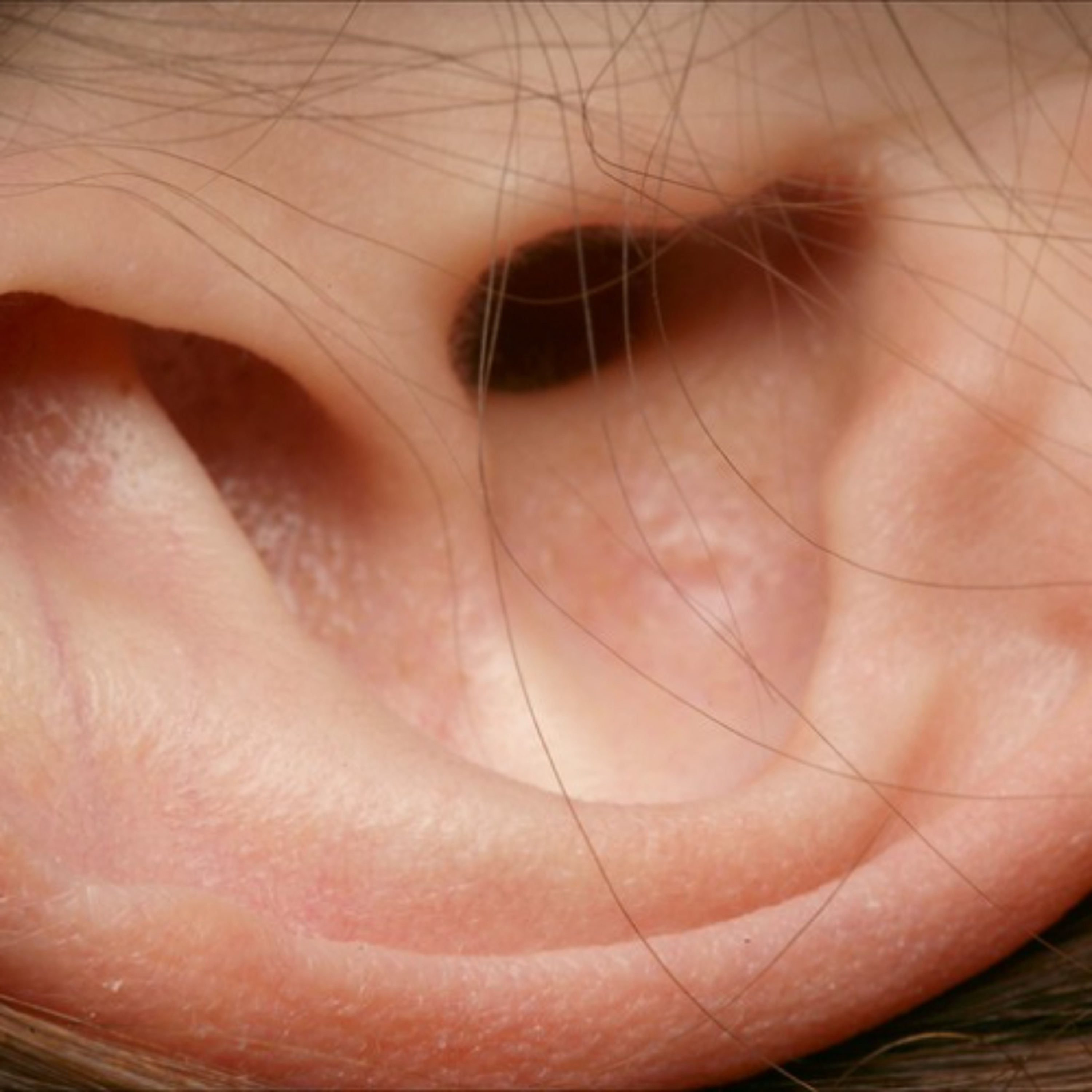 Is That Really In The Bible? 2-I’m Only Pretending to Listen. By David Freeman episode artwork