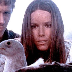 High Noon w/ Dina J 310524