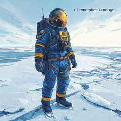 I Remember Damage