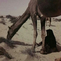 مسّني حبه على الضلع القريّب ..