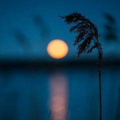 Lắng nghe Trăng | Listen to the Moon