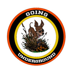 Going Underground Installment #13