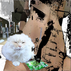 paco rabanne (ludatalesi + yojapane)