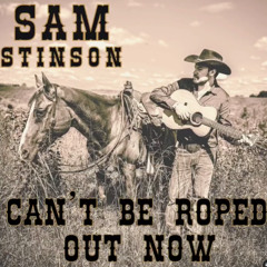 Horse That Can't Be Roped