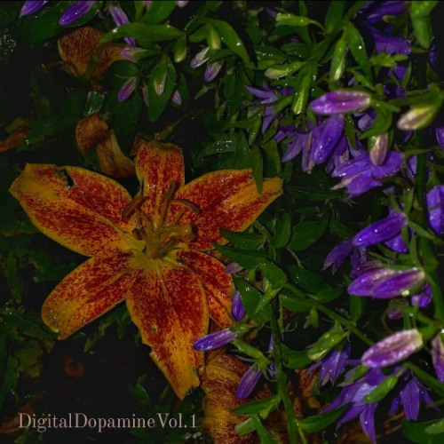 DigitalDopamine VOL.1