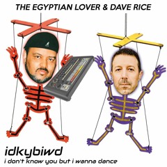 IDKYBIWD (feat. The Egyptian Lover)