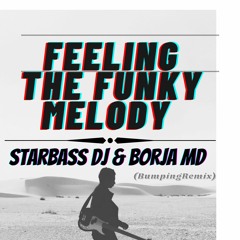 StarBassDj & Borja Md - Feeling The Funky Melody