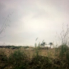ephemera (find you)
