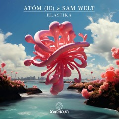 Atòm (IE), Sam Welt - Elastika (Original Mix) (Terranova Records)